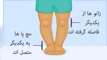 گفتار درمانگر