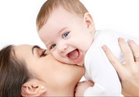 توانبخشی تاک , بهترین توابخشی غرب